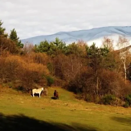 Gasparó Hotelrural&restaurant Szálloda Planoles