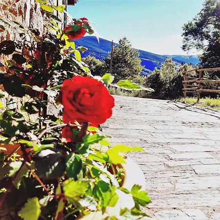 Hotel Gasparo Hotelrural&restaurant 5*