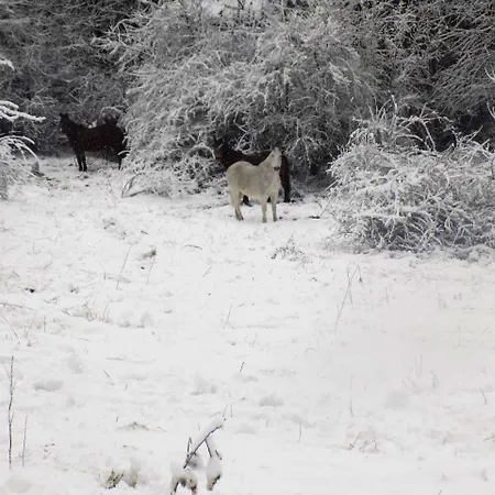 Hotel Gasparó Hotelrural&restaurant 5*